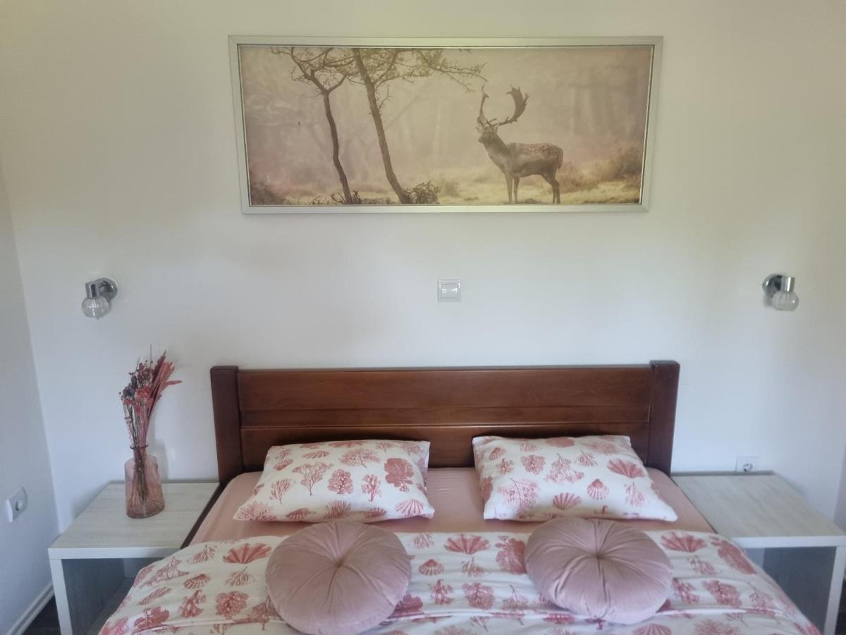 4 Seasons Guest House Rakovica Εξωτερικό φωτογραφία